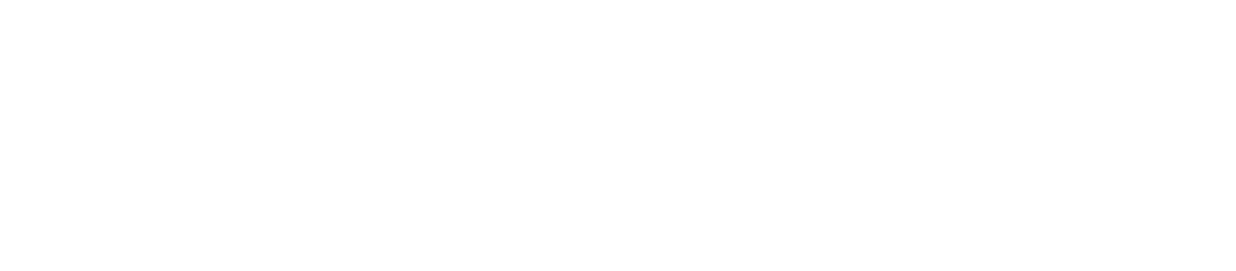 Fidelity